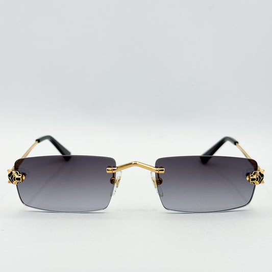 OA Cartier CT0598s