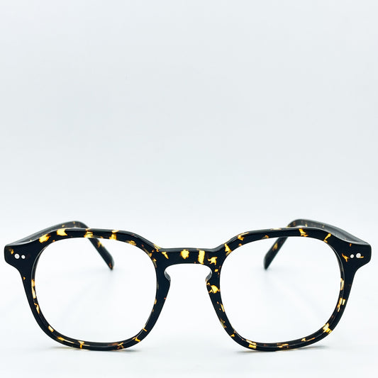 Warby Parker Terrence