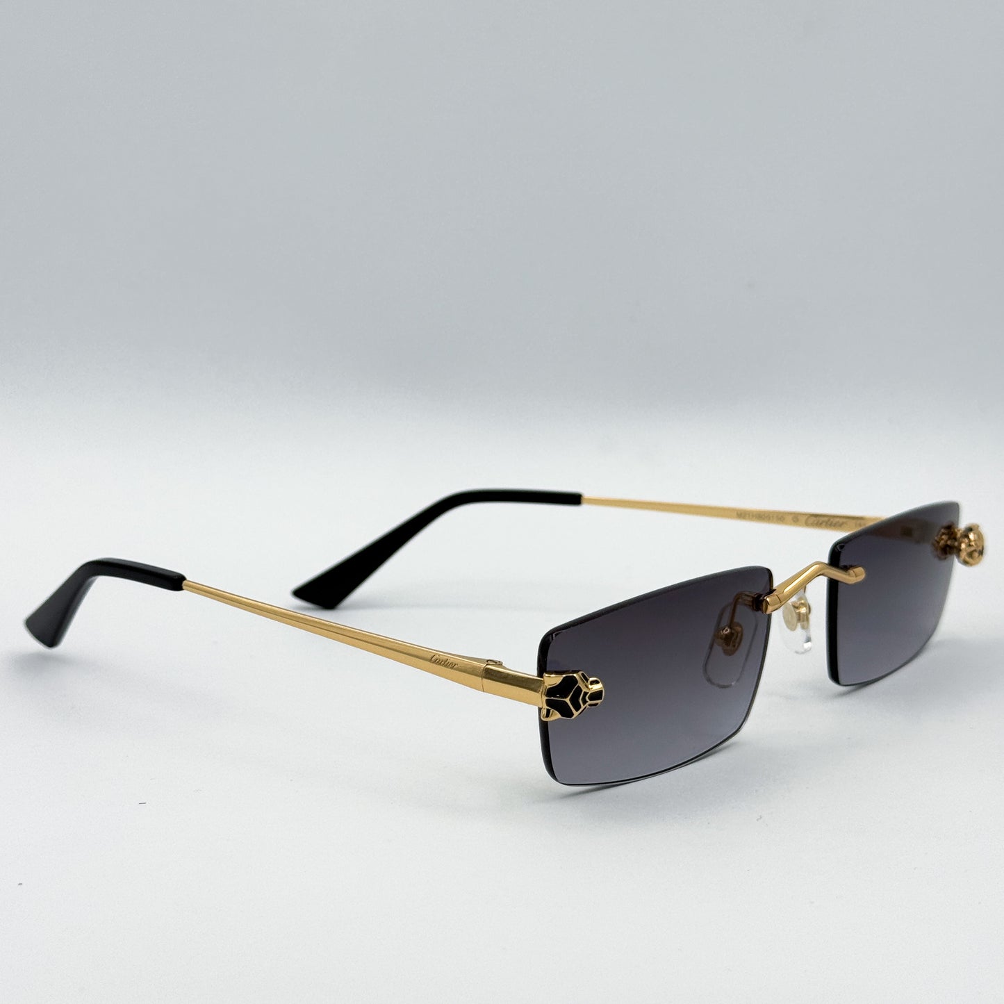 OA Cartier CT0598s